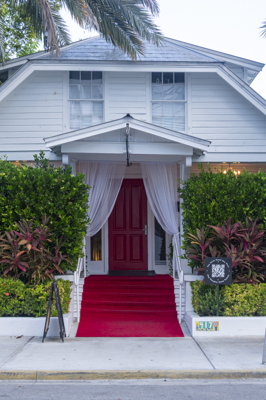 Halo/Saint Hotel